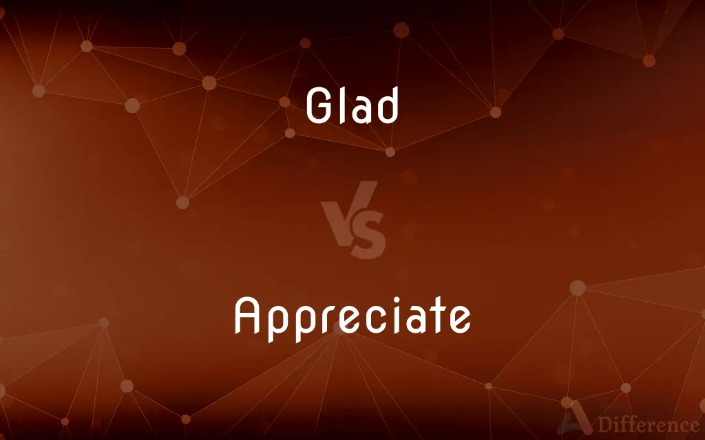 Glad vs. Appreciate — What's the Difference?