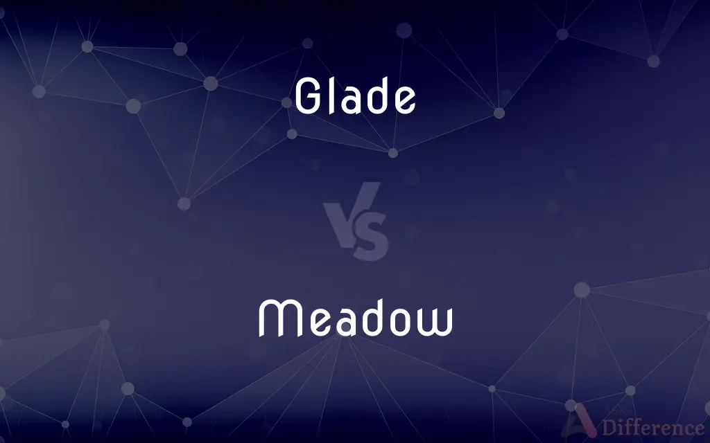 Glade vs. Meadow — What's the Difference?