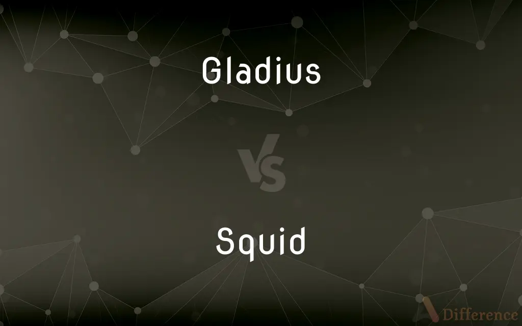 Gladius vs. Squid — What's the Difference?