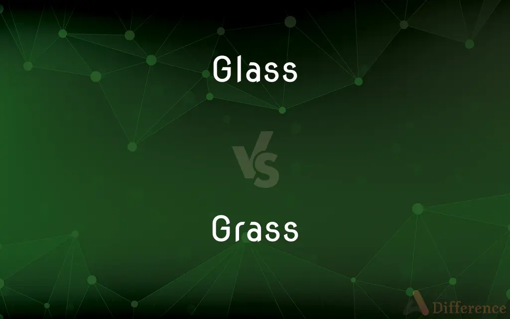 Glass vs. Grass — What's the Difference?
