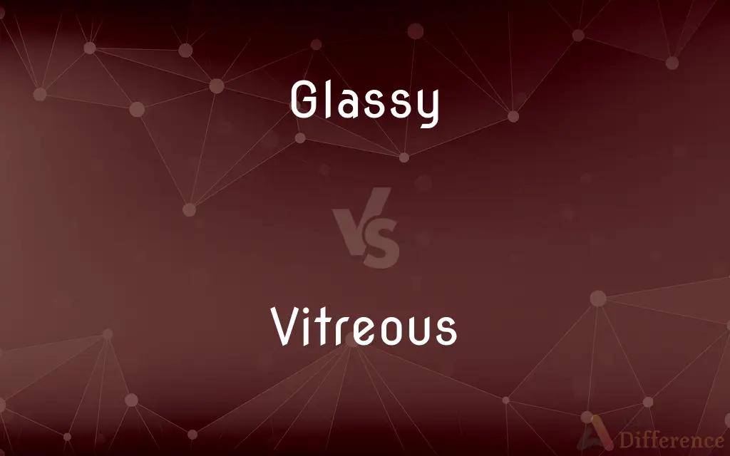 Glassy vs. Vitreous — What's the Difference?