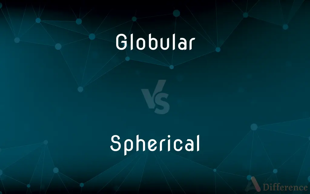 Globular vs. Spherical — What's the Difference?