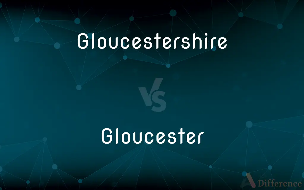 Gloucestershire vs. Gloucester — What's the Difference?