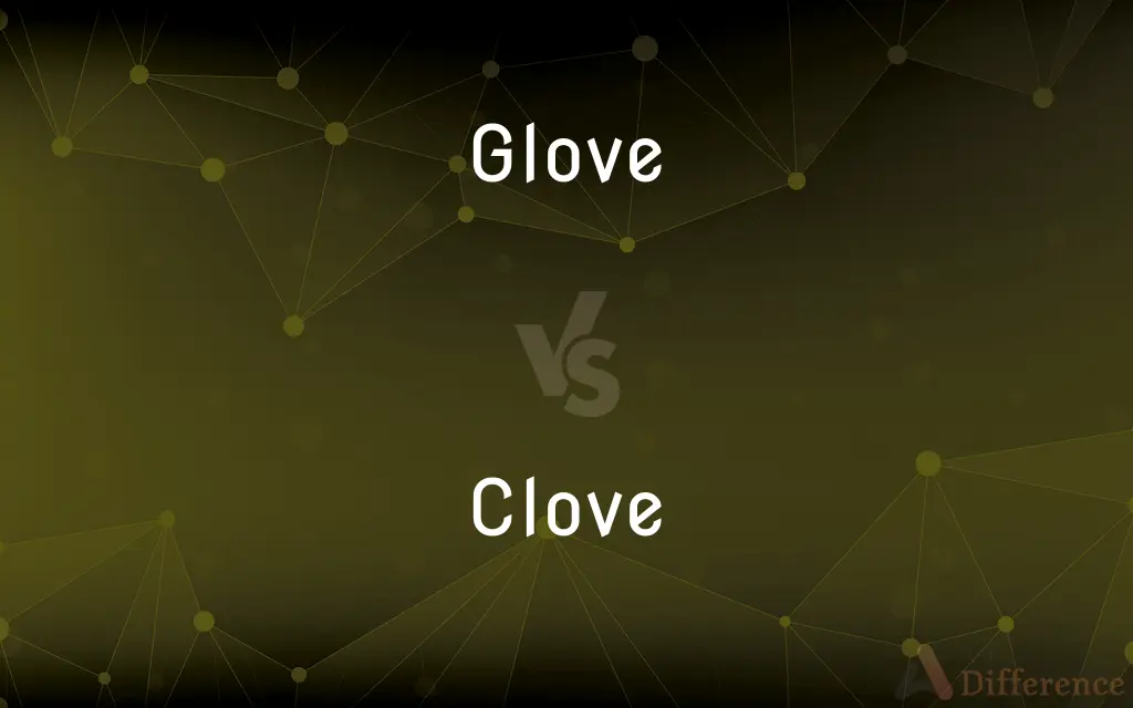 Glove vs. Clove — What's the Difference?
