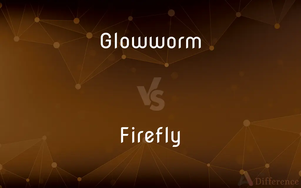 Glowworm vs. Firefly — What's the Difference?