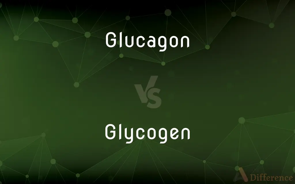 Glucagon vs. Glycogen — What's the Difference?