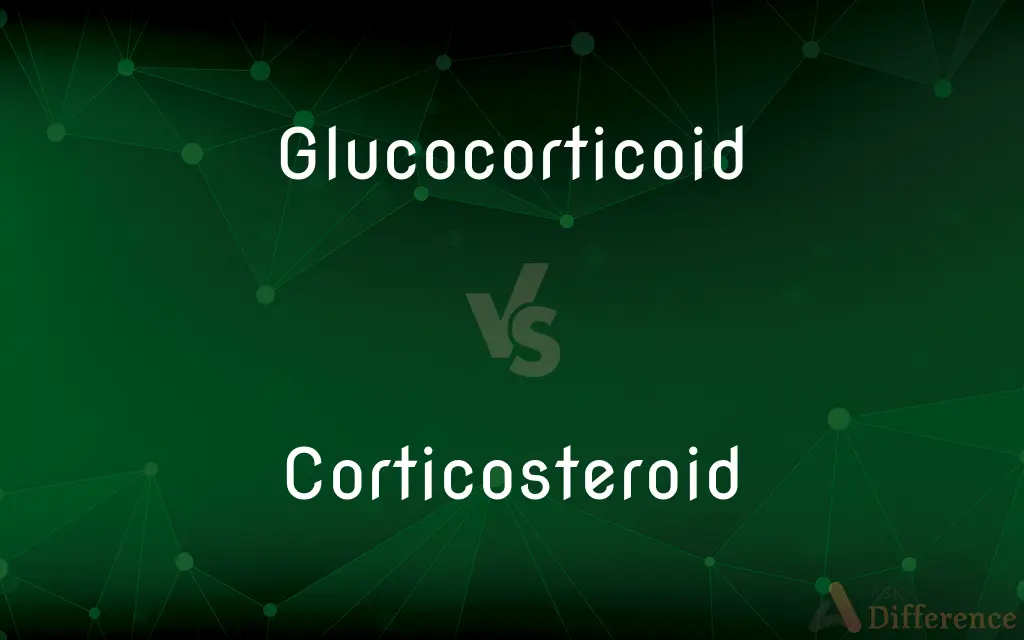 Glucocorticoid vs. Corticosteroid — What's the Difference?