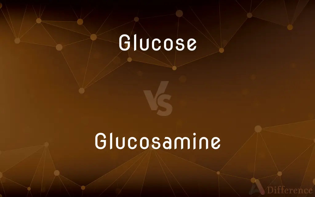 Glucose vs. Glucosamine — What's the Difference?