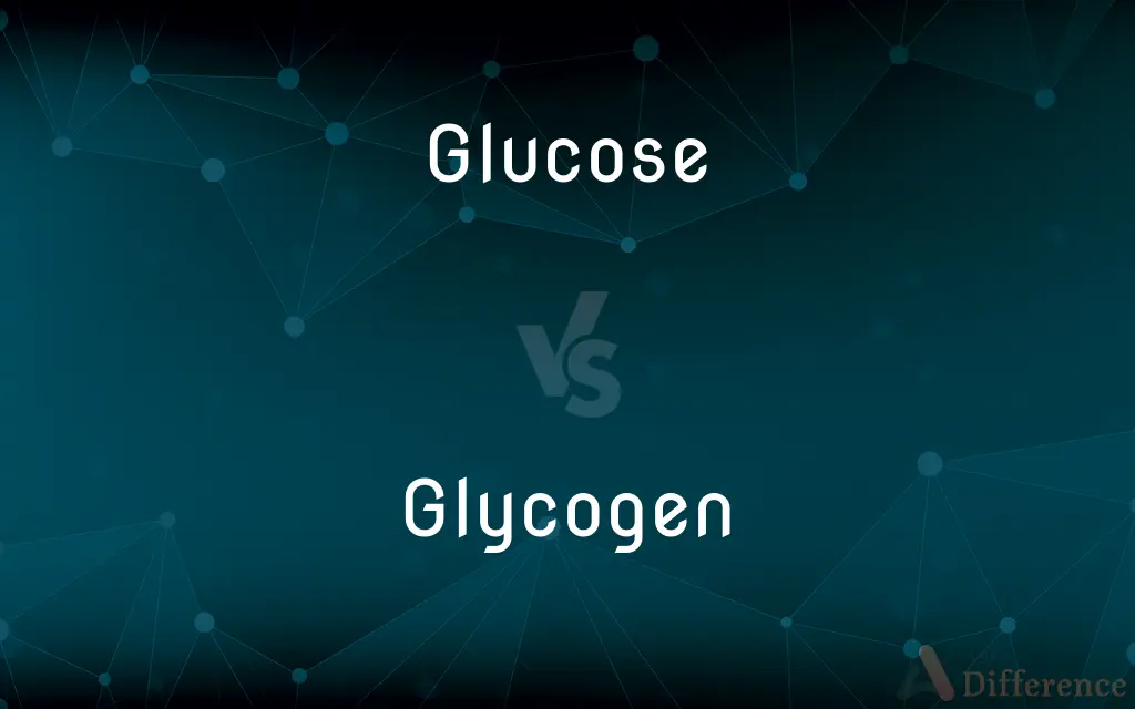Glucose vs. Glycogen — What's the Difference?