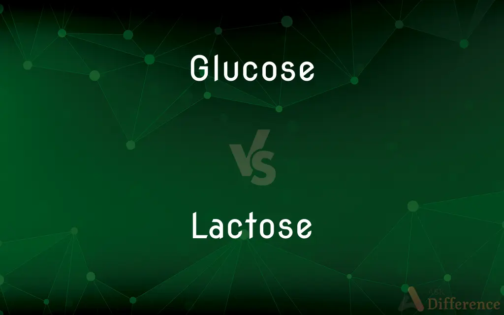 Glucose vs. Lactose — What's the Difference?