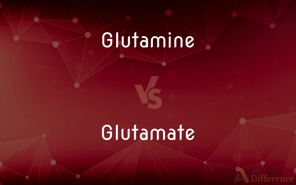 Glutamine vs. Glutamate — What's the Difference?