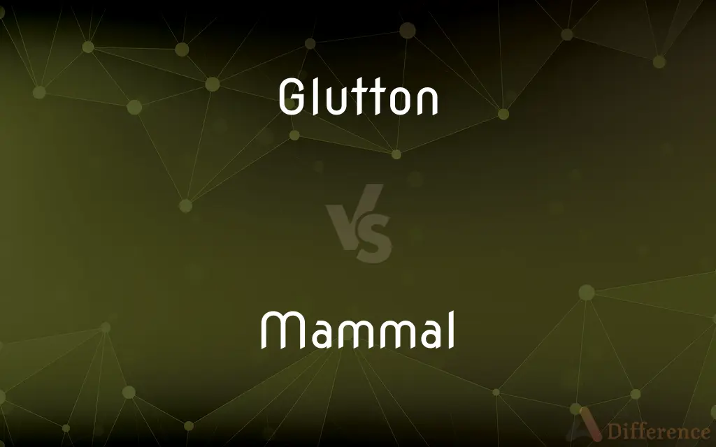 Glutton vs. Mammal — What's the Difference?