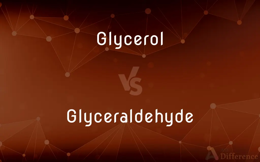 Glycerol vs. Glyceraldehyde — What's the Difference?