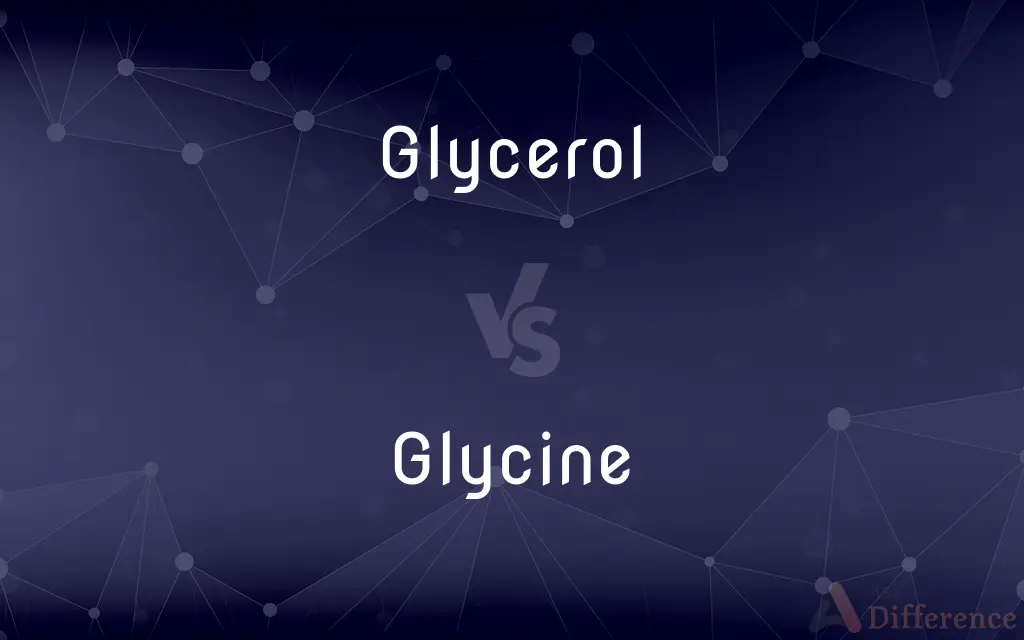 Glycerol vs. Glycine — What's the Difference?