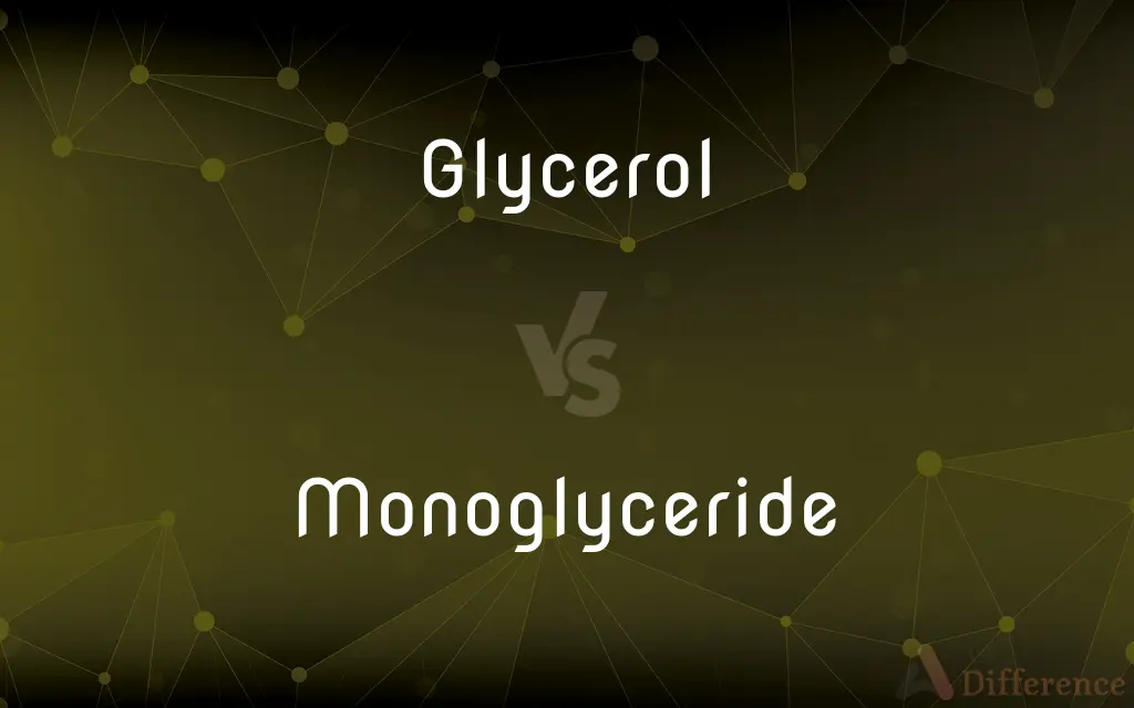 Glycerol vs. Monoglyceride — What's the Difference?