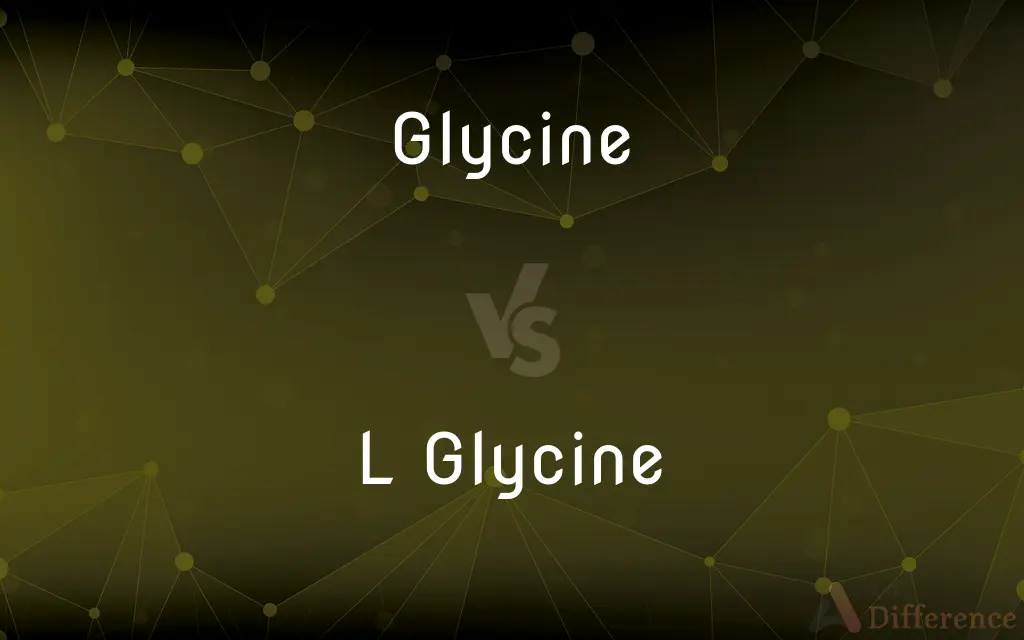 Glycine vs. L Glycine — What's the Difference?