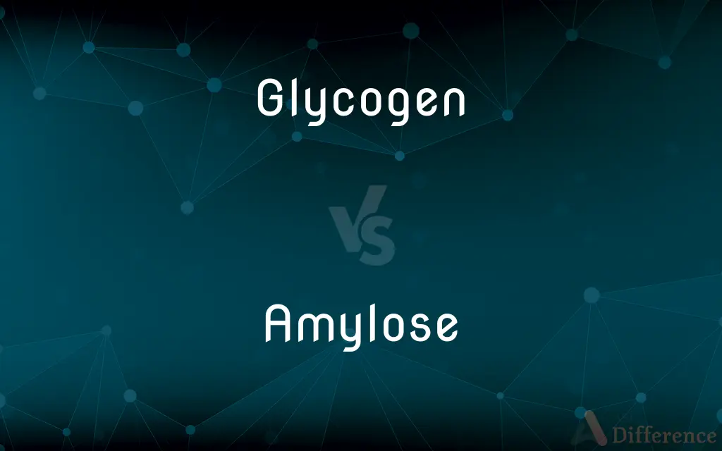 Glycogen vs. Amylose — What's the Difference?