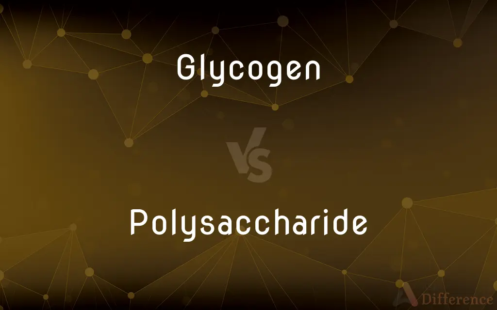 Glycogen vs. Polysaccharide — What's the Difference?