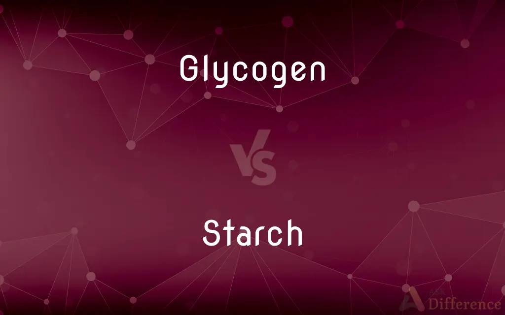 Glycogen vs. Starch — What's the Difference?