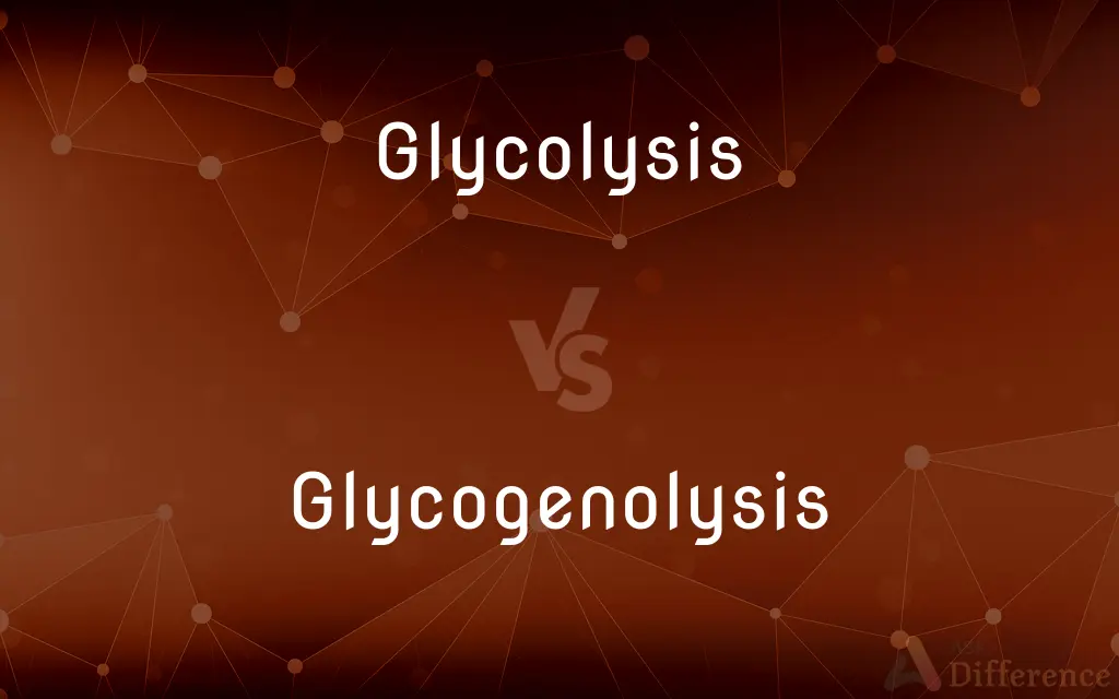 Glycolysis vs. Glycogenolysis — What's the Difference?