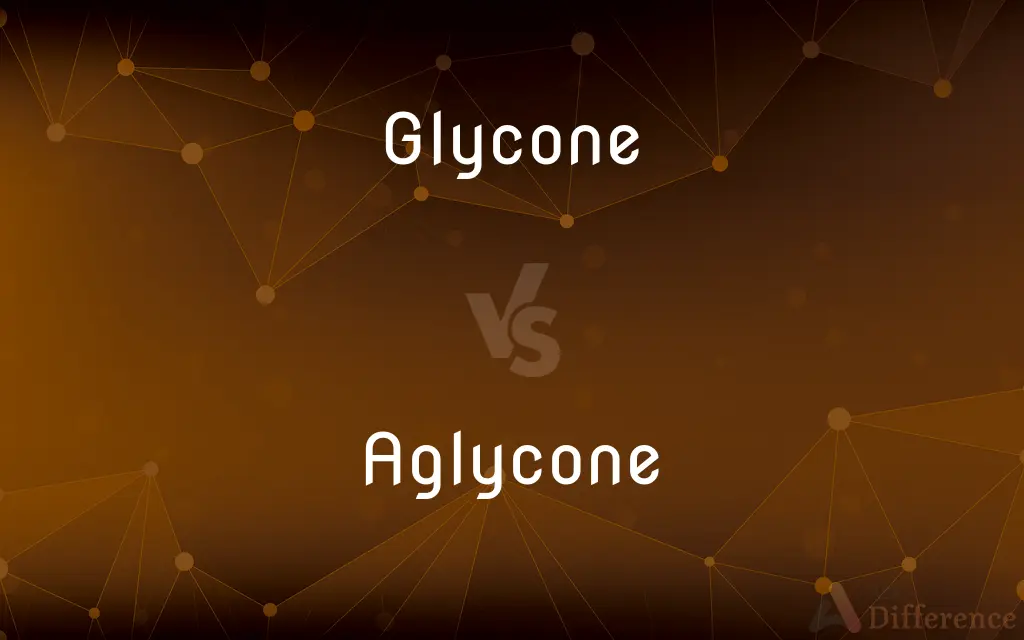 Glycone vs. Aglycone — What's the Difference?