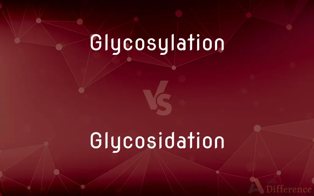Glycosylation vs. Glycosidation — What's the Difference?