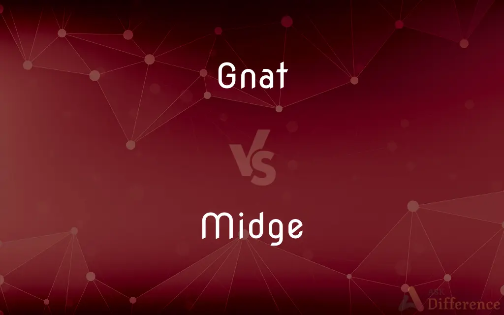 Gnat vs. Midge — What's the Difference?