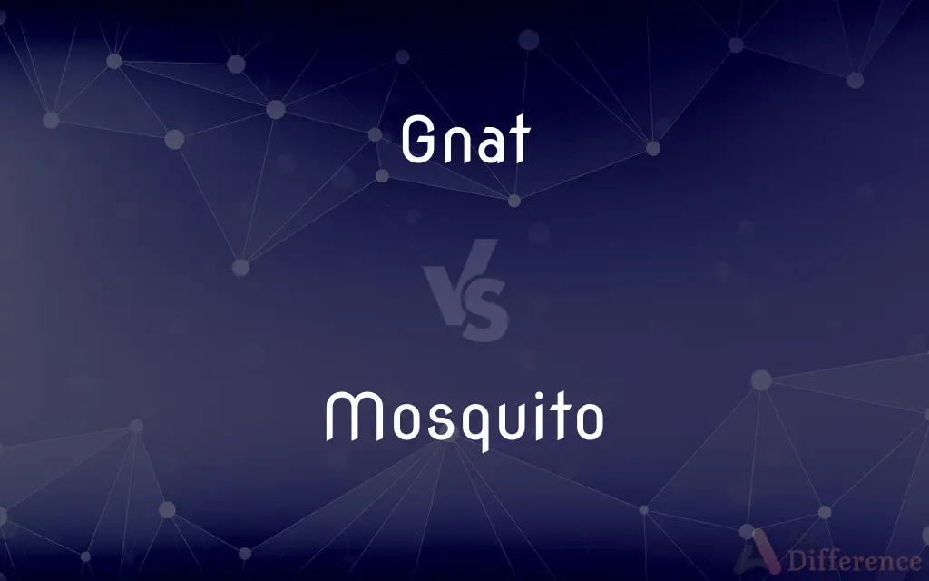 Gnat vs. Mosquito — What's the Difference?