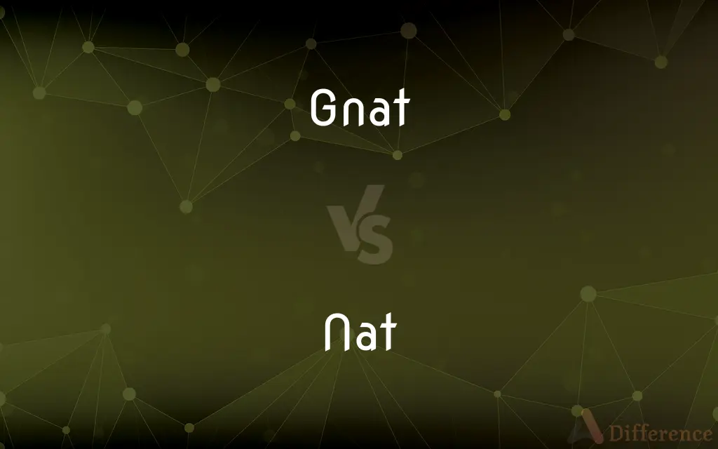 Gnat vs. Nat — What's the Difference?