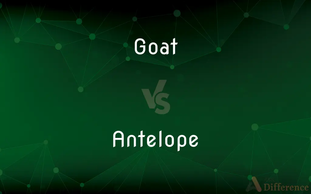 Goat vs. Antelope — What's the Difference?