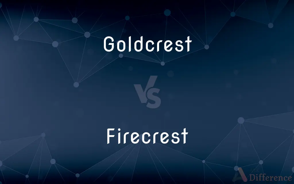 Goldcrest vs. Firecrest — What's the Difference?