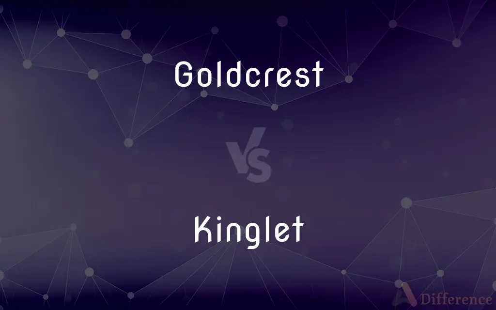 Goldcrest vs. Kinglet — What's the Difference?