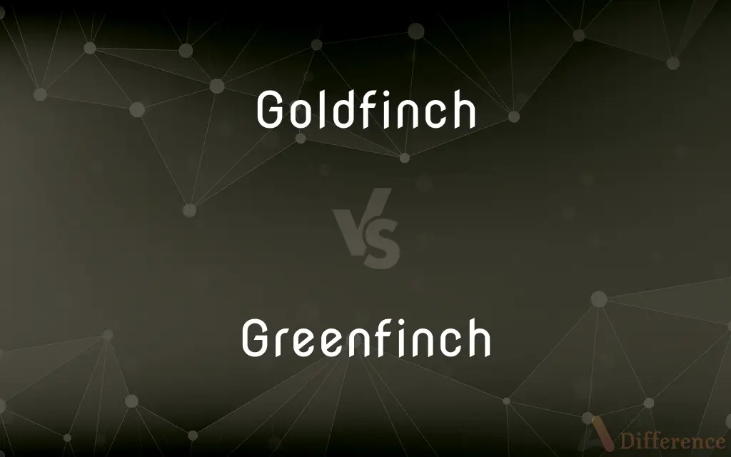 Goldfinch vs. Greenfinch — What's the Difference?