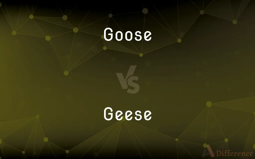 Goose vs. Geese — What's the Difference?