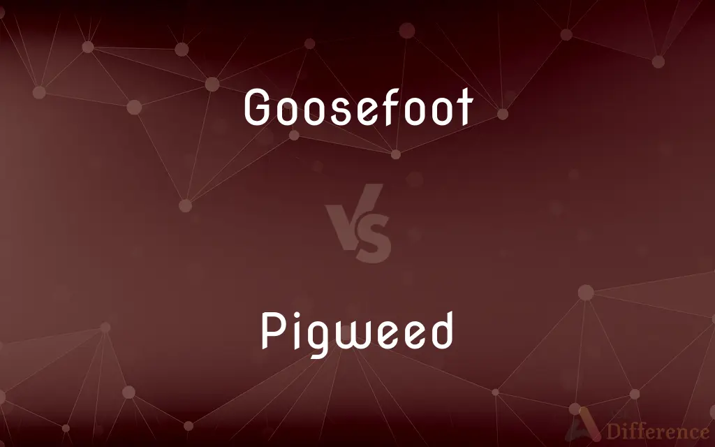 Goosefoot vs. Pigweed — What's the Difference?