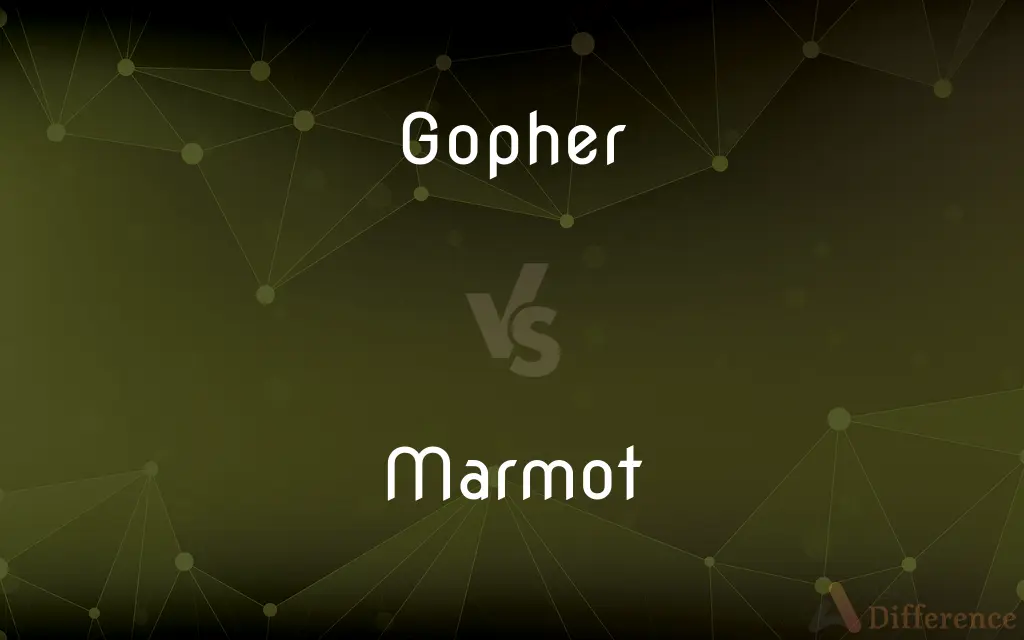 Gopher vs. Marmot — What's the Difference?