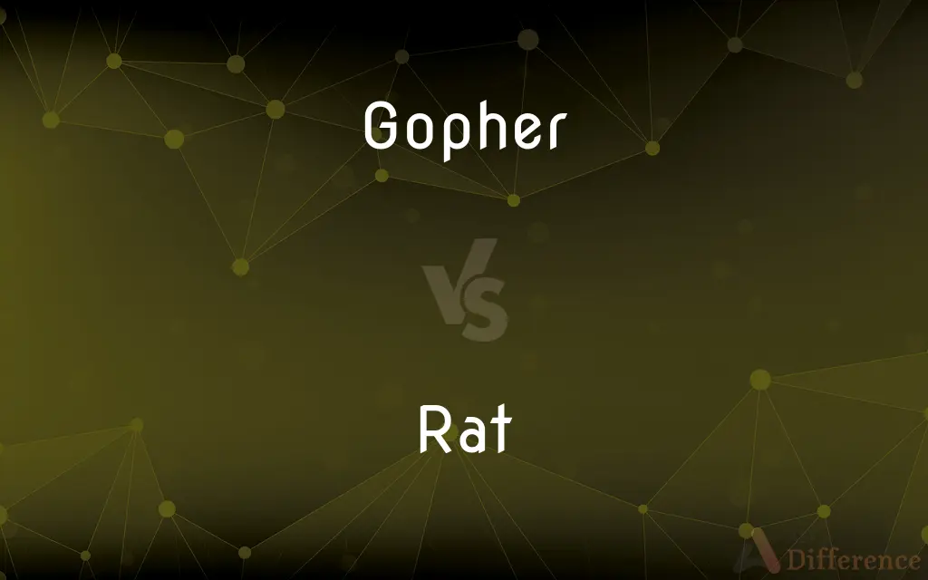 Gopher vs. Rat — What's the Difference?