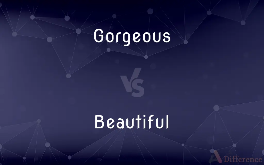 Gorgeous vs. Beautiful — What's the Difference?