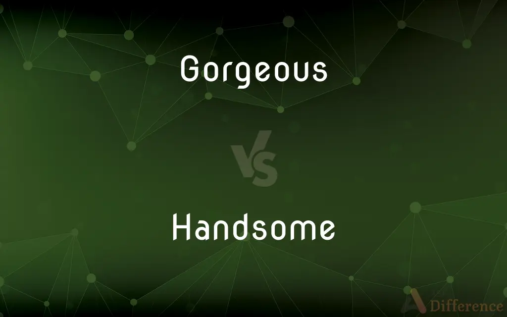 Gorgeous vs. Handsome — What's the Difference?