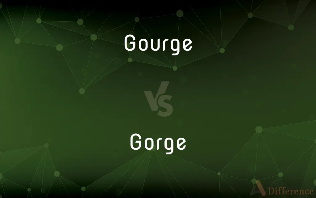 Gourge vs. Gorge — Which is Correct Spelling?