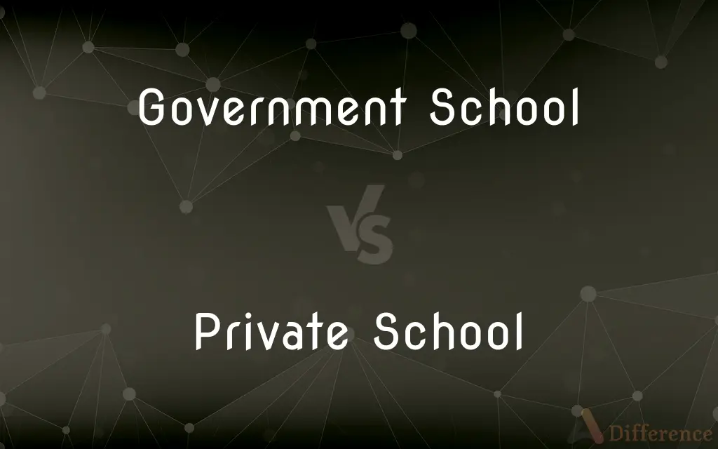 Government School vs. Private School — What's the Difference?