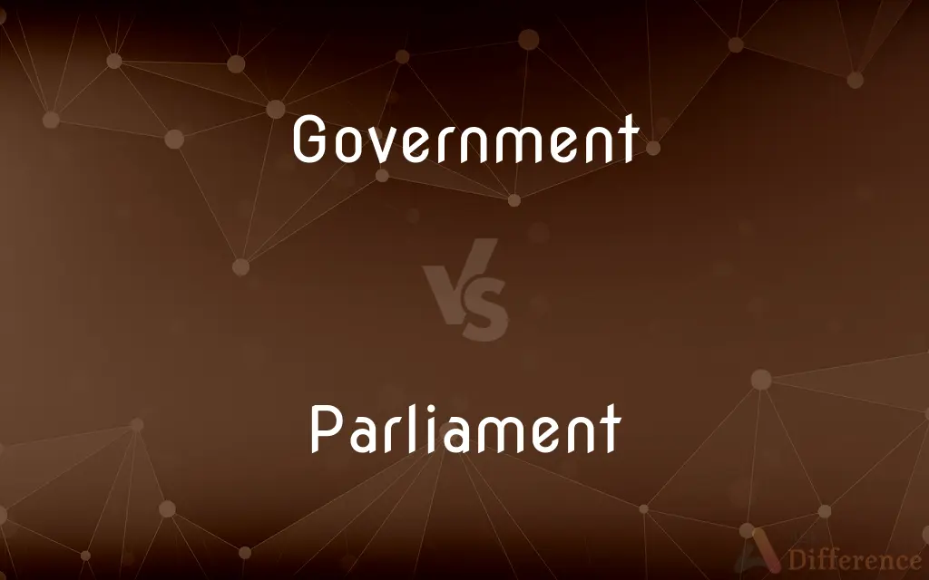 Government vs. Parliament — What's the Difference?