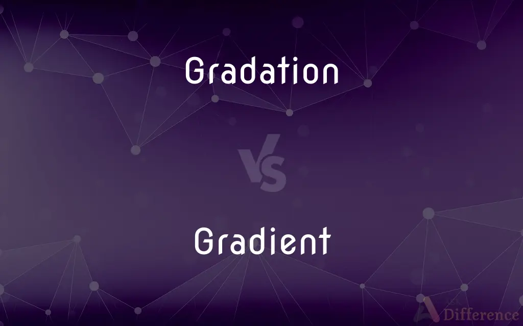 Gradation vs. Gradient — What's the Difference?