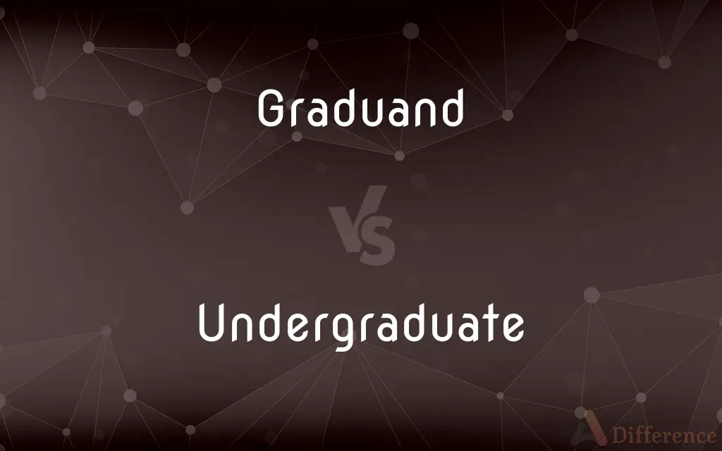 Graduand vs. Undergraduate — What's the Difference?