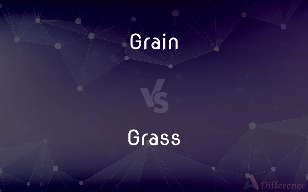 Grain vs. Grass — What's the Difference?
