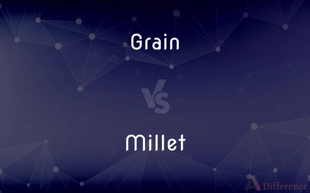Grain vs. Millet — What's the Difference?