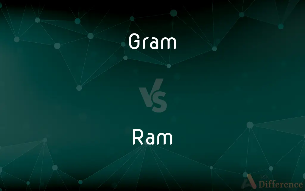 Gram vs. Ram — What's the Difference?