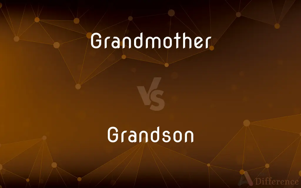 Grandmother vs. Grandson — What's the Difference?