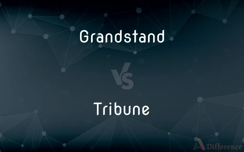Grandstand vs. Tribune — What's the Difference?