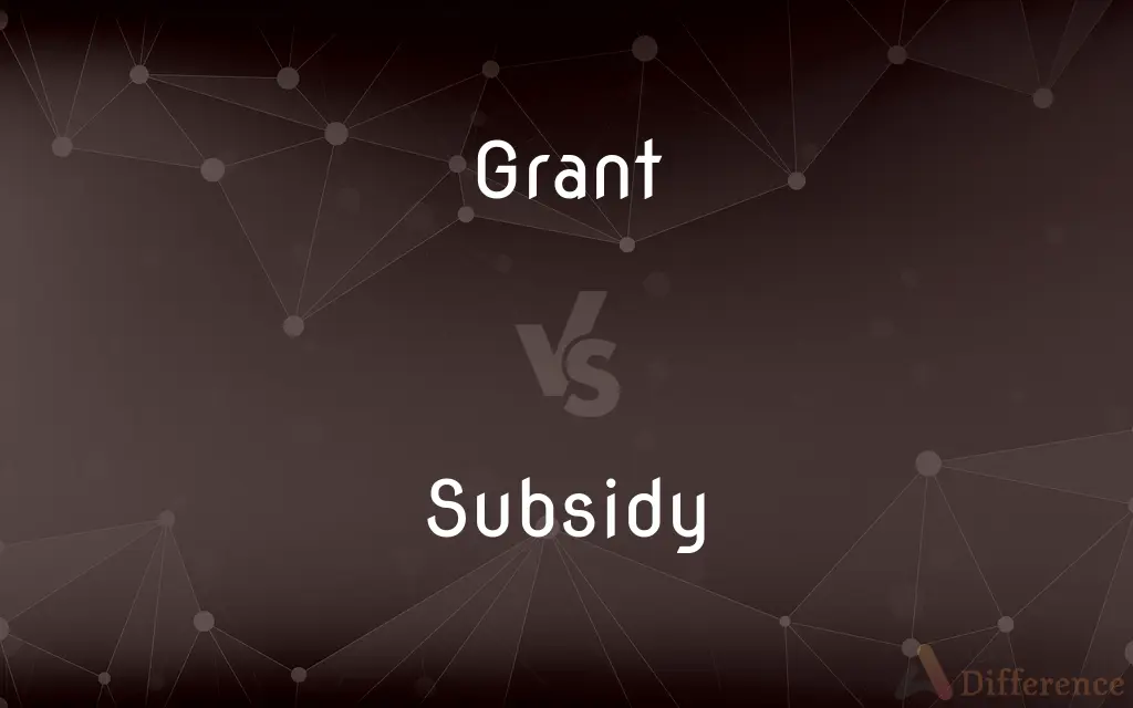 Grant vs. Subsidy — What's the Difference?
